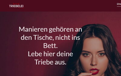 Testbericht TriebeLei.de