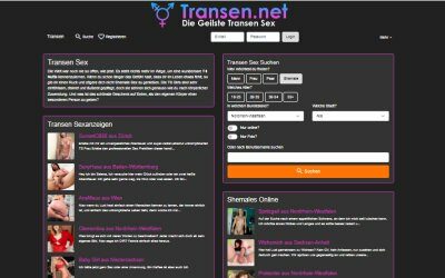 Testbericht Transen.net